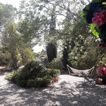 Chalet Les Cigalines Au Calme Fabrezan Екстер'єр фото